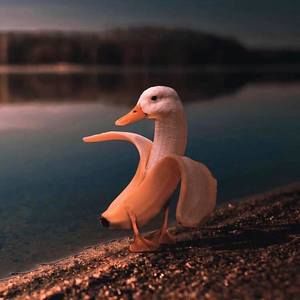 Meet your Posher, Kian